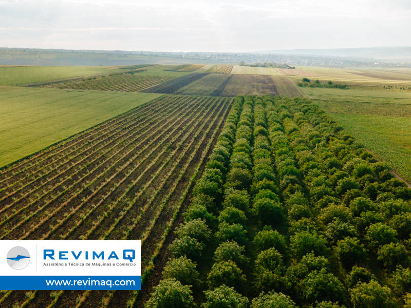 Sistemas agropecuários e industriais integrados no Brasil